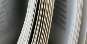 Sector editorial