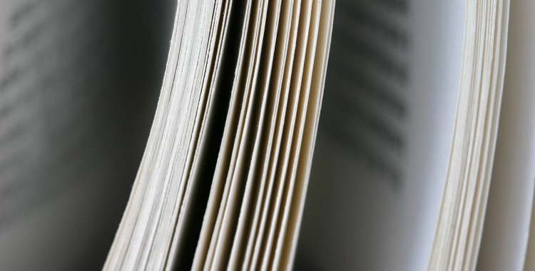 Sector editorial